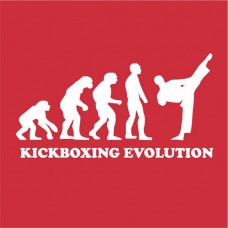 Kickboxing evolution